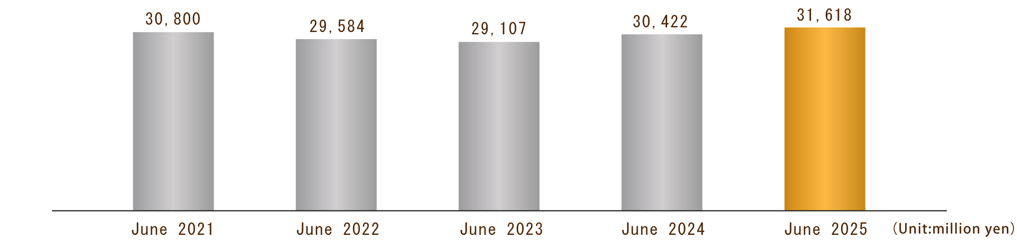 Total Assets (Consolidated)