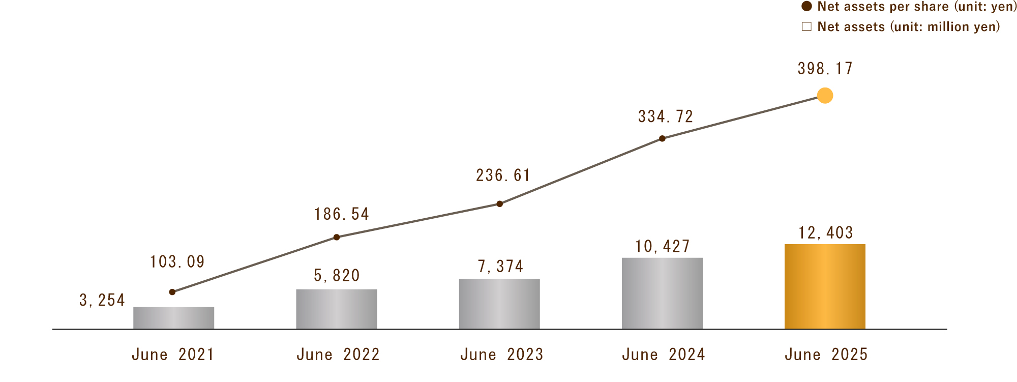 Net Assets (Consolidated)